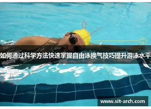 如何通过科学方法快速掌握自由泳换气技巧提升游泳水平